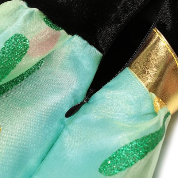 Girls Frozen 1- Anna’s Coronation Costume - Picture 5 of 5